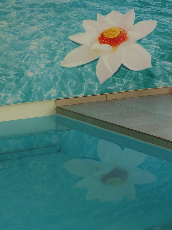 Ursel Vita Roka Met Extra Luxe Prive Wellness المظهر الخارجي الصورة